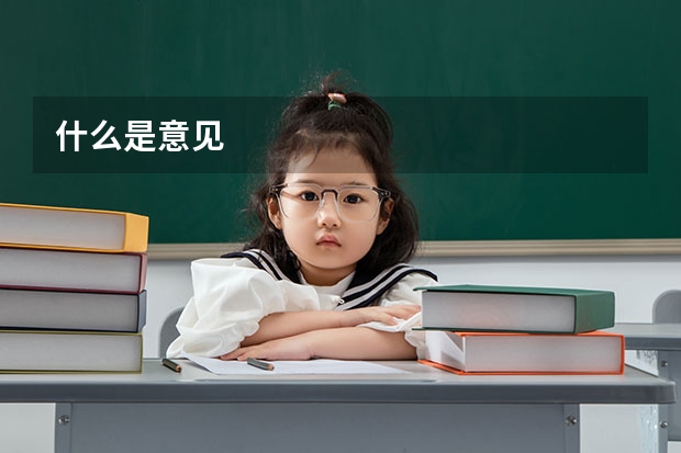 什么是意见