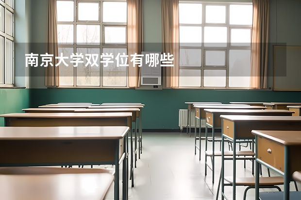 南京大学双学位有哪些