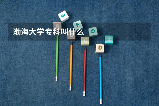 渤海大学专科叫什么