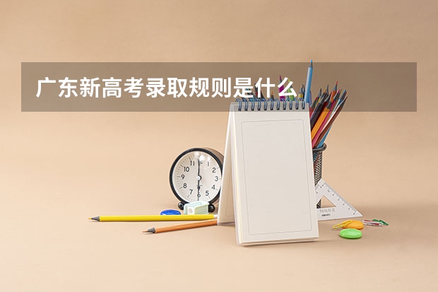 广东新高考录取规则是什么