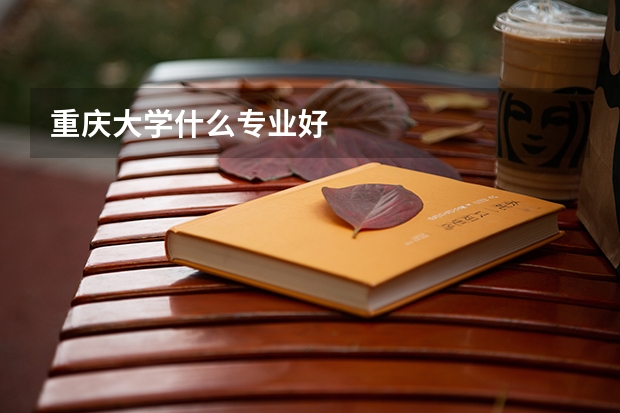 重庆大学什么专业好