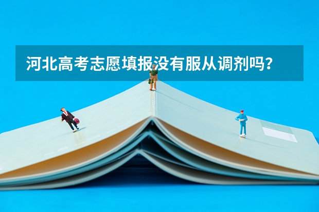 河北高考志愿填报没有服从调剂吗？