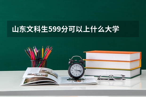山东文科生599分可以上什么大学