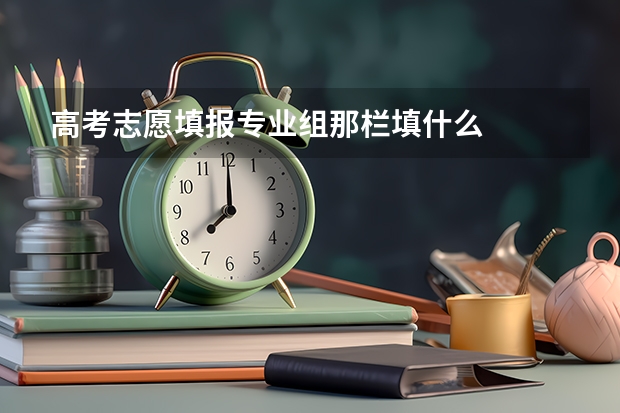高考志愿填报专业组那栏填什么