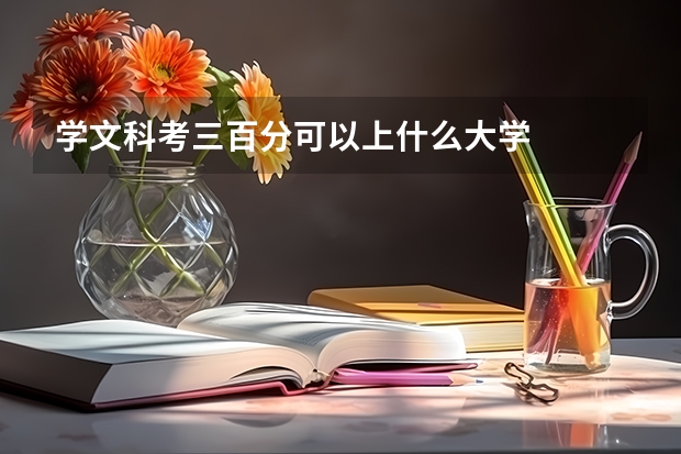 学文科考三百分可以上什么大学