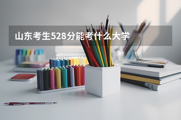 山东考生528分能考什么大学