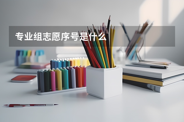 专业组志愿序号是什么
