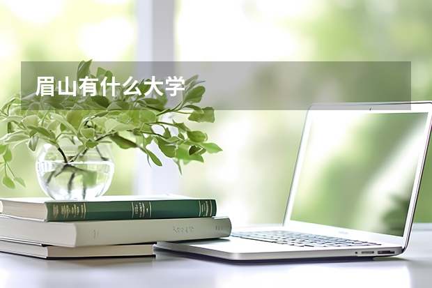 眉山有什么大学