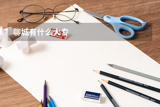 聊城有什么大专