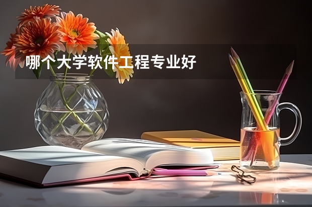 哪个大学软件工程专业好