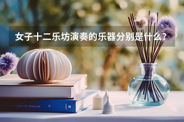 女子十二乐坊演奏的乐器分别是什么?