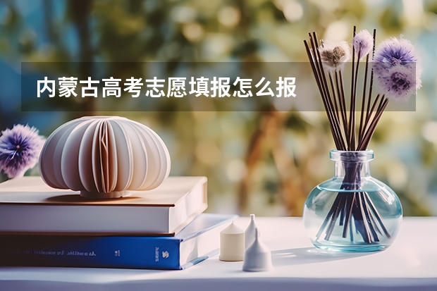 内蒙古高考志愿填报怎么报