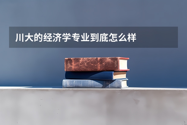 川大的经济学专业到底怎么样