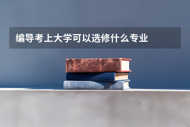 编导考上大学可以选修什么专业