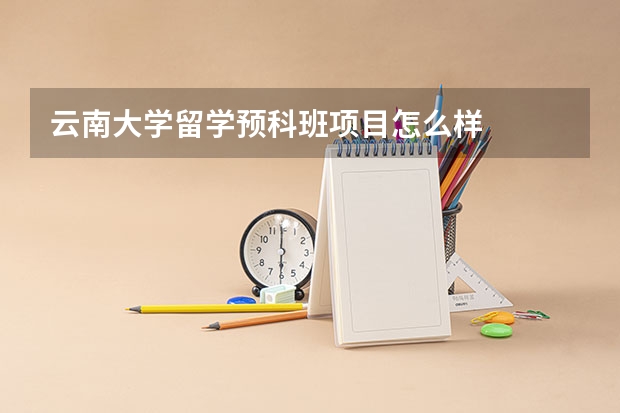 云南大学留学预科班项目怎么样