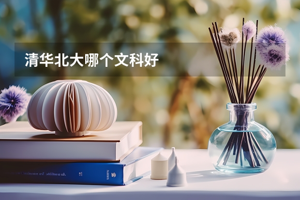 清华北大哪个文科好
