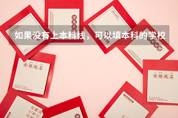 如果没有上本科线，可以填本科的学校吗？