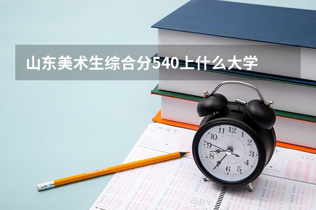 山东美术生综合分540上什么大学