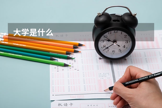 大学是什么