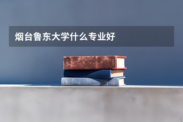烟台鲁东大学什么专业好