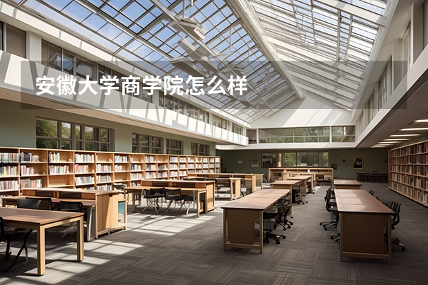 安徽大学商学院怎么样