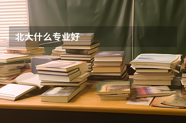 北大什么专业好