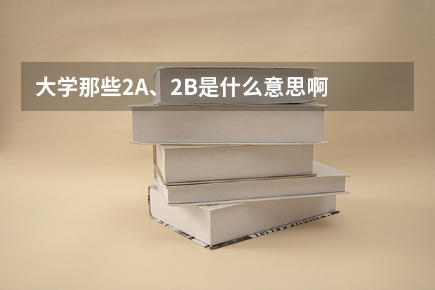 大学那些2A、2B是什么意思啊