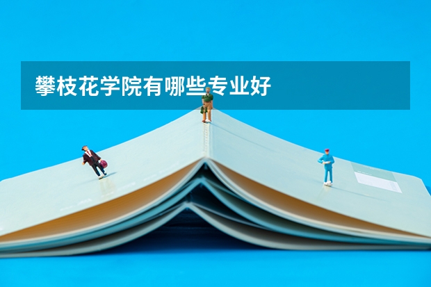 攀枝花学院有哪些专业好