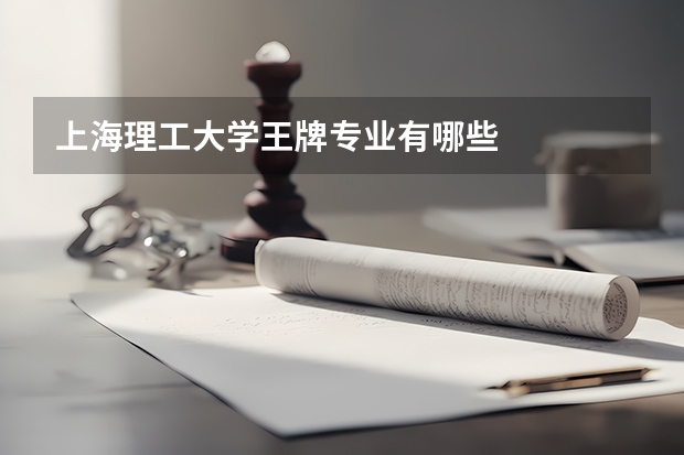 上海理工大学王牌专业有哪些