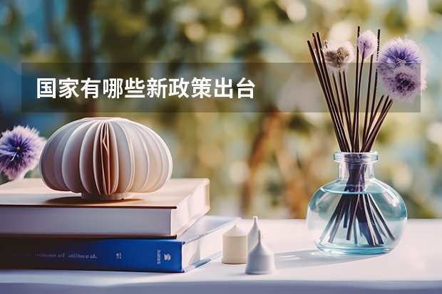 国家有哪些新政策出台
