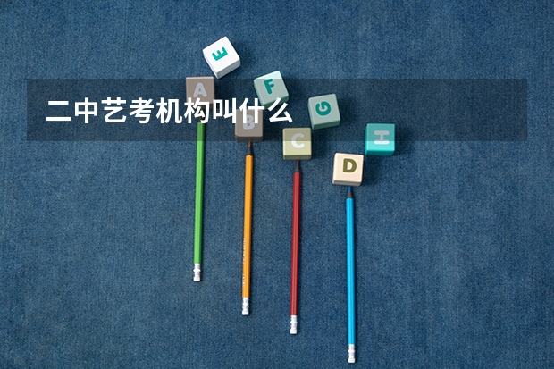 二中艺考机构叫什么