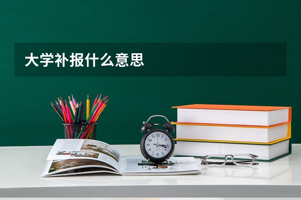 大学补报什么意思