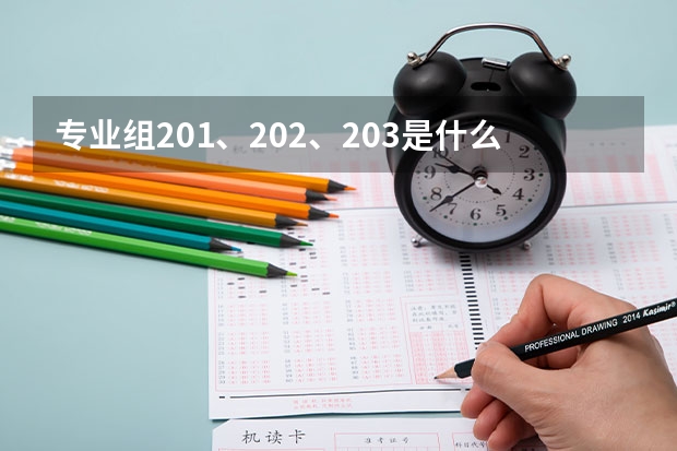 专业组201、202、203是什么意思？