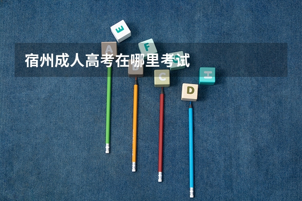 宿州成人高考在哪里考试