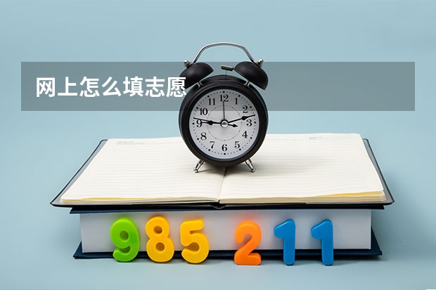 网上怎么填志愿