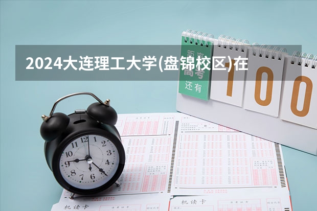 2024大连理工大学(盘锦校区)在河北招生计划表