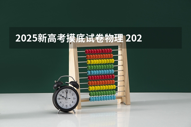 2025新高考摸底试卷物理 2025年新高考政策