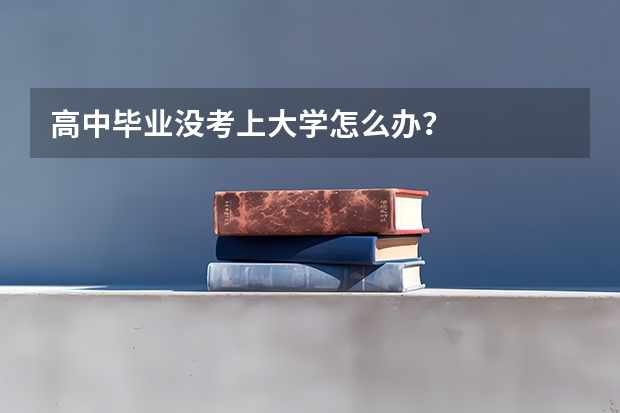 高中毕业没考上大学怎么办？