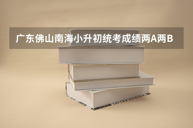 广东佛山南海小升初统考成绩两A两B能上公办吗