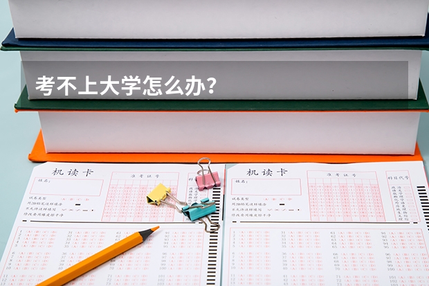 考不上大学怎么办？