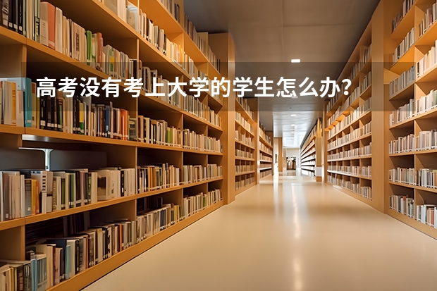 高考没有考上大学的学生怎么办？