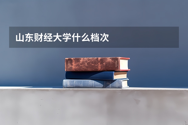 山东财经大学什么档次