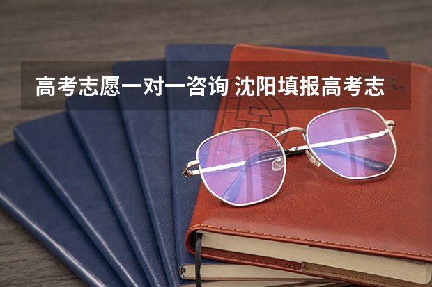 高考志愿一对一咨询 沈阳填报高考志愿的机构，哪家做的比较专业？急！