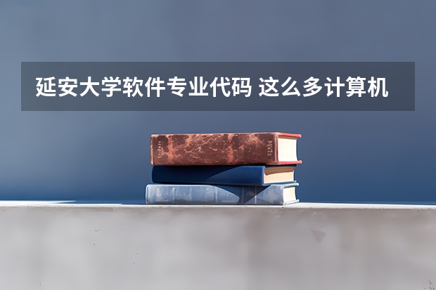 延安大学软件专业代码 这么多计算机专业的比较