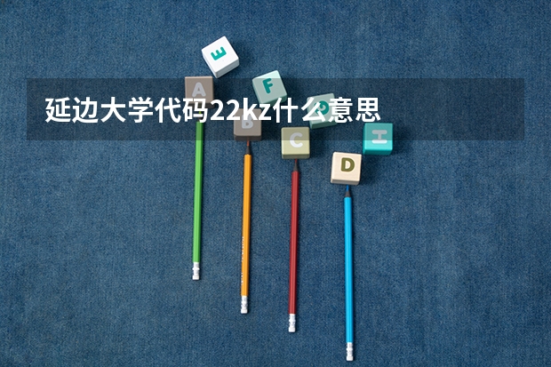 延边大学代码22kz什么意思