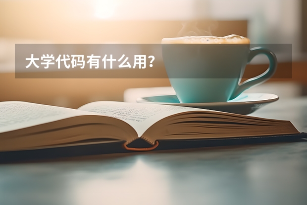 大学代码有什么用？