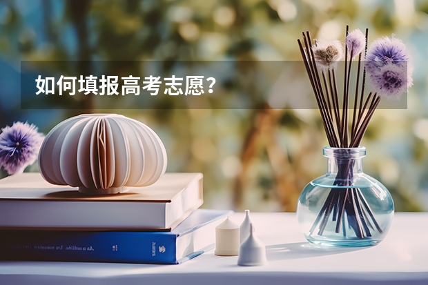 如何填报高考志愿？