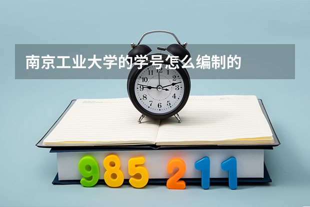 南京工业大学的学号怎么编制的