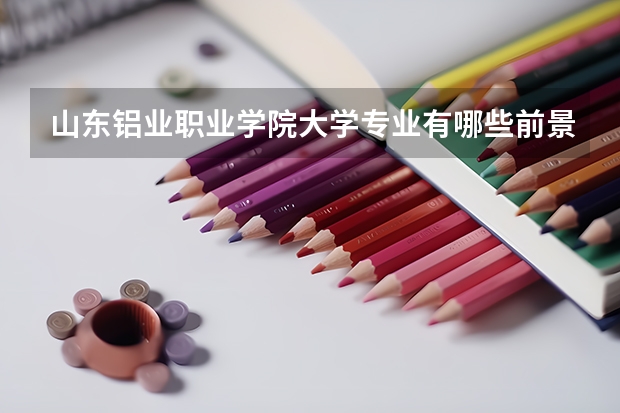 山东铝业职业学院大学专业有哪些前景好的 山东铝业职业学院大学专业热度排名