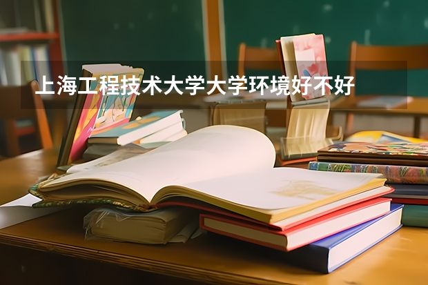 上海工程技术大学大学环境好不好